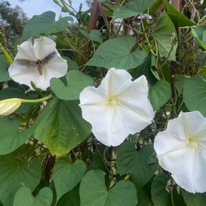 Meet your Posher, Gabrielle